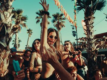 Friends cheering under palm trees – Czech-Slovak Zrće Festival, Zrće Beach