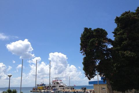 Palms and the marina in Novalja