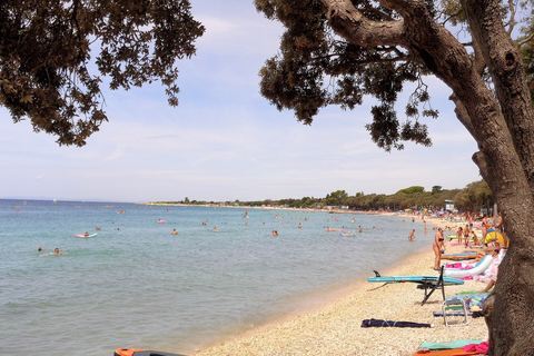 Straško beach under the pines, Novalja